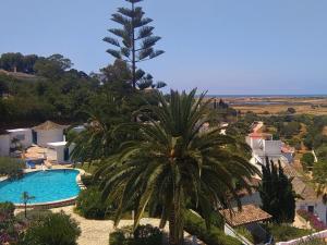 un palmier en face d'une piscine dans l'établissement Casa Pura Vida - fantastic sea view, à Pêra 45 autres photos