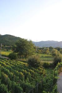 the country house周边自然景观