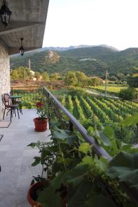 a patio with a view of a vineyard at Studio and winery Kalimut in Virpazar