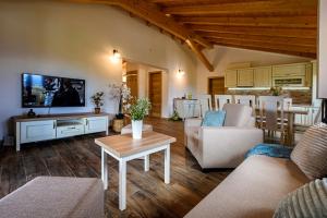 TV a/nebo společenská místnost v ubytování Villa Dajana