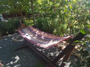 een hangmat in het midden van een tuin bij Casa Magnolia in Douăzeci şi Trei August