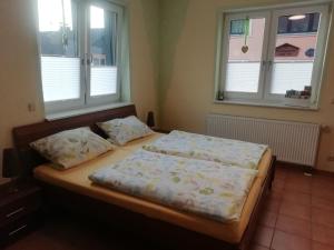 a bedroom with two beds and two windows at Ferienwohnung Hermann in Sankt Aldegund
