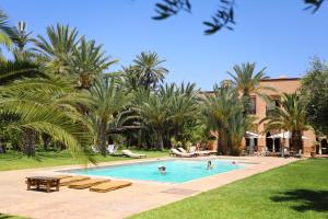 a swimming pool with lounge chairs and palm trees at Villa Le Perroquet Bleu in Marrakech