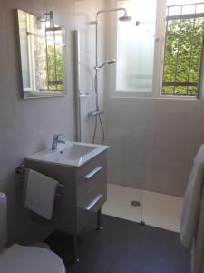 ein Bad mit einem Waschbecken, einer Dusche und einem WC in der Unterkunft coté remparts in Provins