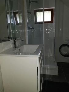 a bathroom with a sink and a glass shower at Joli petit appartement au calme in Vignec