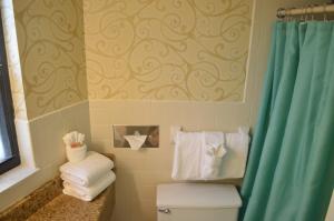 baño con aseo y cortina de ducha azul en Sun Viking Lodge - Daytona Beach en Daytona Beach