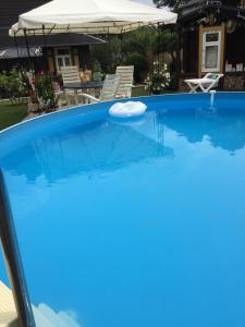 a large blue swimming pool with an umbrella at Ferienwohnung „Kleine Liebe“ in Bad Schandau