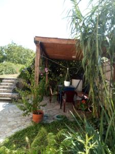 Zahrada ubytování Hostel Bata