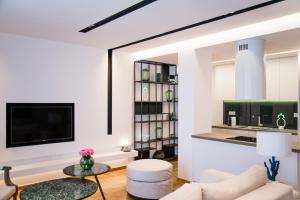 a living room with a couch and a tv at PINACOTA SUITES ATHENS in Athens