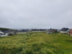 a field of grass with houses in the background at Søndre Berg gate 20 Apartement in Vardø