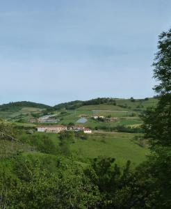 uma vista para uma colina verde com árvores e casas em Lyon Campagne em Rontalon