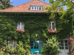 a house covered in ivy with a blue door and windows at Schoenbrunn Gardens Deluxe Apartment in Vienna