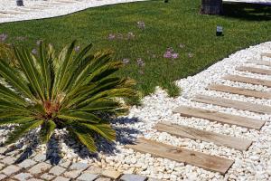 a garden with a palm tree and a walkway at Zodiaco in Quarteira