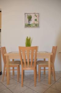 una mesa de madera y sillas con una maceta. en Apartments Klabjan, en Osp