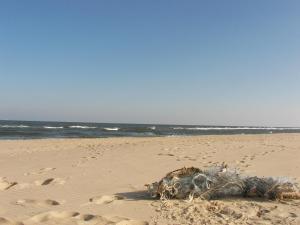 Příroda nedaleko apartmánu + 2 fotografie