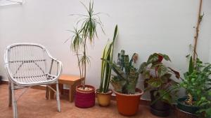 Kép Apartamento Rosaleda szállásáról Melidében a galériában
