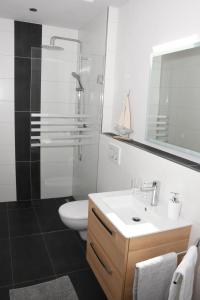 ein Bad mit einem Waschbecken, einer Dusche und einem WC in der Unterkunft Zum Anker in Simmerath