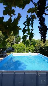 a swimming pool with a chair in the middle at Alexandra Homestay in Kalavárda