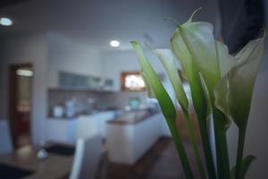 a green flower in a vase on a table at Apartments Stipe in Lukovo