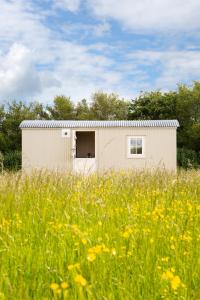 Southwick的住宿－Romantic secluded Shepherd Hut Hares Rest，草场上的一座小建筑