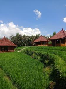 a field of green grass with houses in the background at Ubud Sawah Scenery Villa and Homestay in Tegalalang