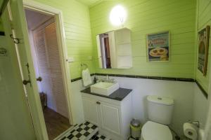 a green bathroom with a toilet and a sink at Arohanui in Katoomba