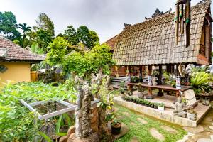 
a garden filled with lots of plants and trees at Pondok Nyoman in Bedugul

