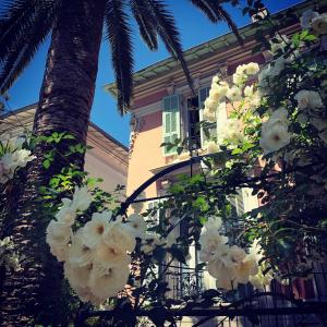 een boom met witte bloemen voor een gebouw bij Hotel Villa Rose in Nice