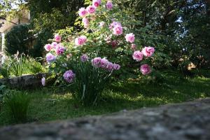 Zahrada ubytování B&B Il Glicine