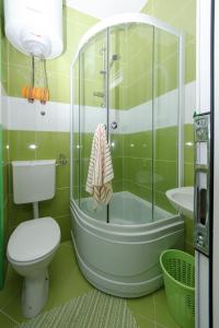 a bathroom with a shower and a toilet and a sink at Apartments Sergej in Sutomore