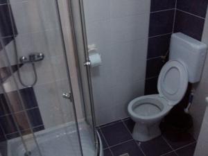 a bathroom with a toilet and a glass shower at La Curtea Argeseana in Valea Iasului