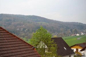 uma vista para uma montanha com casas e uma árvore em FeWo Ackermann em Modautal