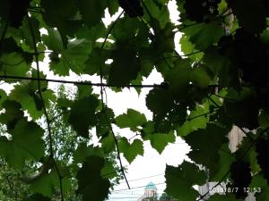Foto sihtkohas Kutaisi asuva majutusasutuse Downtown guest house galeriist