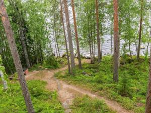 a dirt road through a forest next to the water at Holiday Home Keskimökki by Interhome in Tasapää