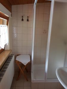 y baño con ducha y lavamanos. en Gasthaus Montafonerhüsli, en Sankt Gallenkirch