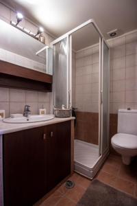 ein Bad mit einer Dusche, einem Waschbecken und einem WC in der Unterkunft Elizabeth's Place in Iraklio