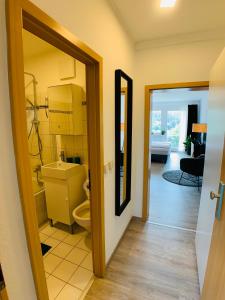 a bathroom with a toilet and a mirror in a room at Komfortables Apartment in Bad Elster mit Netflix in Bad Elster
