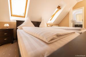 Photo de la galerie de l'établissement Hotel Wasserschlößchen, à Naumbourg