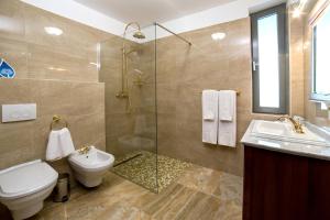 a bathroom with a toilet a sink and a shower at Theodora Golf Club in Alba Iulia