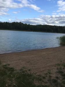 a large body of water with trees in the background at kirsikkaranta in Pargas
