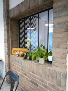 une fenêtre avec des plantes sur un mur de briques dans l'établissement L'Horloge Gourmande, à Donzère