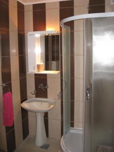 a small bathroom with a sink and a shower at Apartman Daca Apatin in Apatin