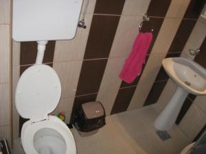 Bagno di Apartman Daca Apatin