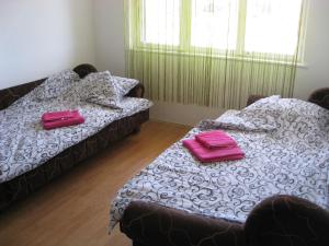 2 posti letto in una camera con asciugamani rosa di Apartman Daca Apatin a Apatin