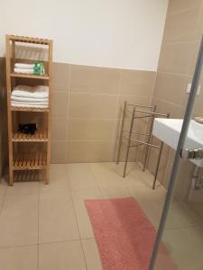 łazienka z prysznicem, umywalką i ręcznikami w obiekcie Vienna Home48 w Wiedniu