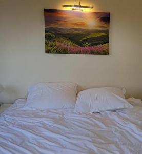 ein weißes Bett mit einem Gemälde an der Wand in der Unterkunft Victoriei 35B in Curtea de Argeş