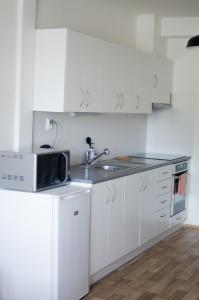 Kuchyň nebo kuchyňský kout v ubytování Apartmany a Ubytovani Mlynice Litovel