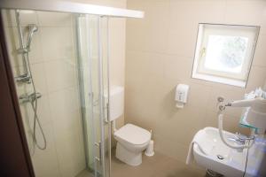 a bathroom with a shower and a toilet and a sink at Villa Andor in Ankaran