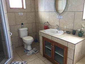 un bagno con un water, un lavandino e uno specchio di Net Net Holiday Home a Witsand