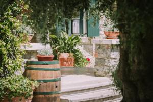 a set of stairs with potted plants and a green door at Villa Andor in Ankaran